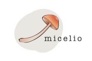 Micelio