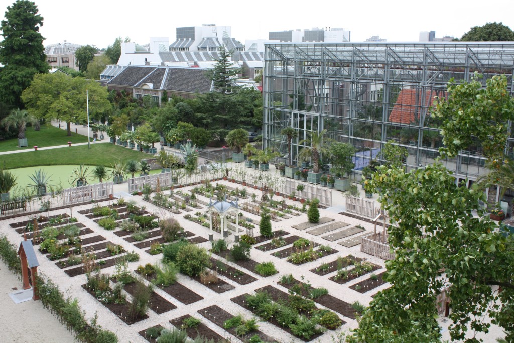 Hortus botanicus Leiden 